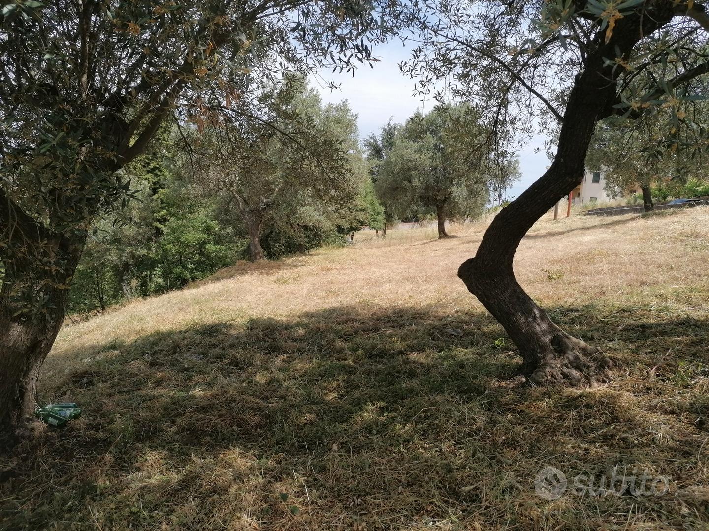 Terreno agricolo con possible costruzione - Vista 2