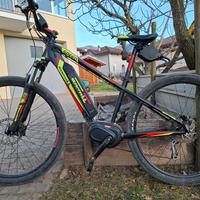 Bicicletta elettrica 