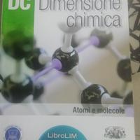 Dimensione chimica. Libro per le scuole