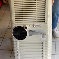 Condizionatore Pinguino De Longhi
