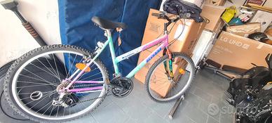 bicicletta da donna