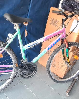 bicicletta da donna
