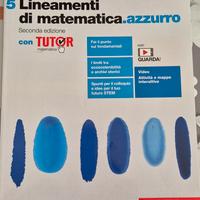 lineamenti di matematica.azzurro 5