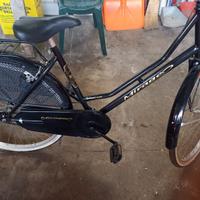 bicicletta da donna Holland style