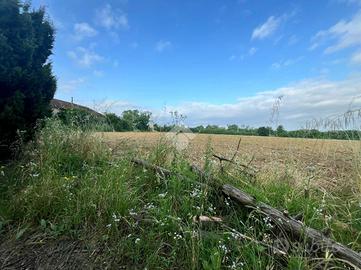 TER. AGRICOLO A NOVI LIGURE