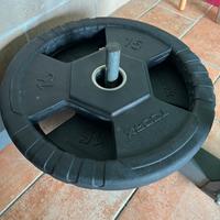 Dischi gommati Toorx