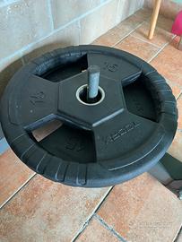 Dischi gommati Toorx