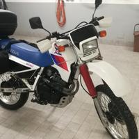 Honda XL 600 rm