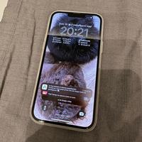 Iphone 13 pro max 512 gb