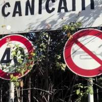 N 2 monovani separatamente o insieme