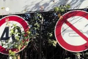 N 2 monovani separatamente o insieme