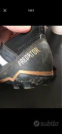 Adidas Predator n31 da bimbo