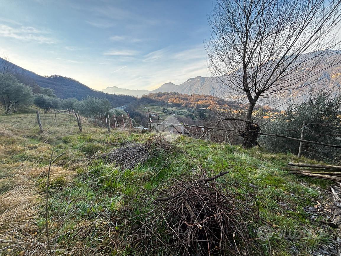 TER. AGRICOLO A LIERNA - Vista 5
