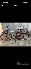 Bici uomo pax