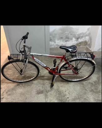 Bici uomo pax