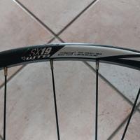 Ruota anteriore MTB: WTB 29 RIM DISC