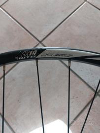 Ruota anteriore MTB: WTB 29 RIM DISC