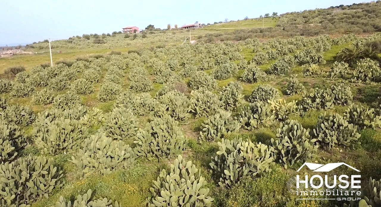 SANTA MARIA DI LICODIA AZIENDA AGRICOLA - Vista 3