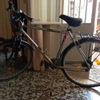 Mountain bike uomo
