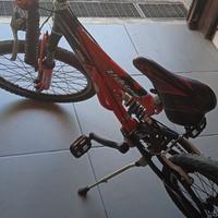 bicicletta