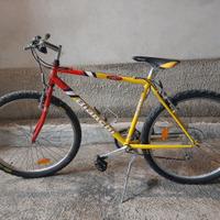 Bici MtB Bianchi