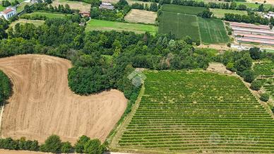 TER. AGRICOLO A CALVAGESE DELLA RIVIERA