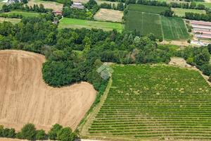 TER. AGRICOLO A CALVAGESE DELLA RIVIERA