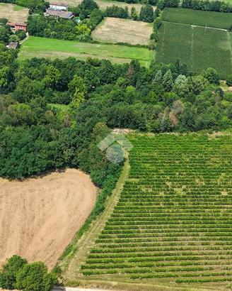 TER. AGRICOLO A CALVAGESE DELLA RIVIERA
