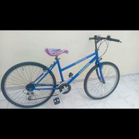 Mountain bike legnano donna