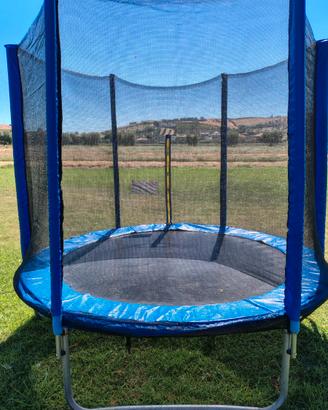 Trampolino elastico da giardino SixJump 2,45 m 