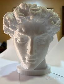 Vaso  volto statua  david
