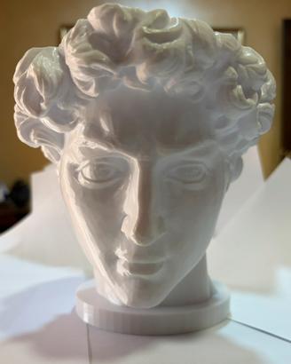 Vaso  volto statua  david