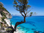 Immagine 12