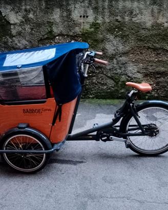 cargo bike babboe curve mountain
