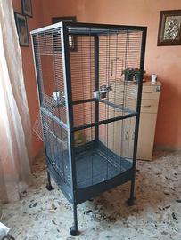 Pappagalliera decorativa 60x60x120 cm