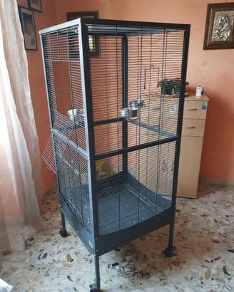 Pappagalliera decorativa 60x60x120 cm