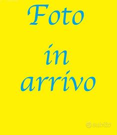 RUSTICO IN ZONA CANALI-ALBINEA Indi-te di mq 1.100