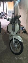 liberty 50 4t