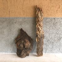 Corteccia di Sughero da arredamento