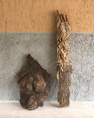 Corteccia di Sughero da arredamento