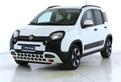 FIAT Panda Cross 1.0 FireFly 70cv S&S Hybrid ...