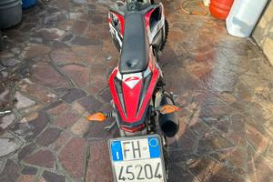 Beta RR 125 4t 2024 T