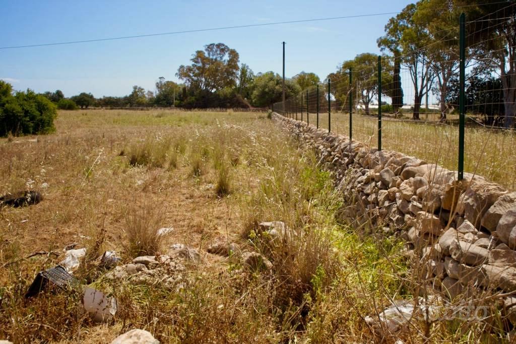 Terreno di 17085 m² a Santa Croce Camerina - Vista 5