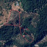 Terreno agricolo