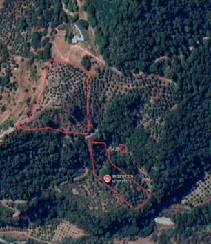 Terreno agricolo