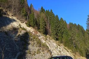 pick up ford ranger wildtrack