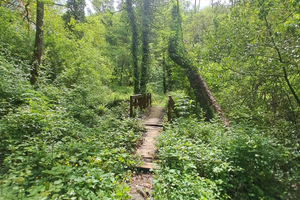 Casa vacanze colline versiliesi ferragosto comico