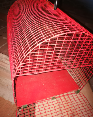 Trasportino per piccoli animali