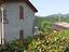 Immagine 29