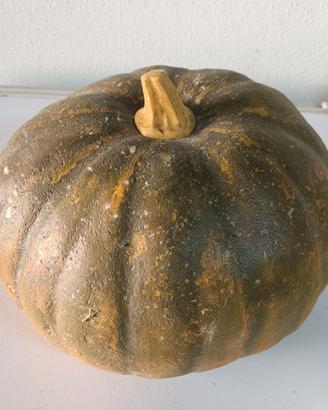 Zucca in polistirolo